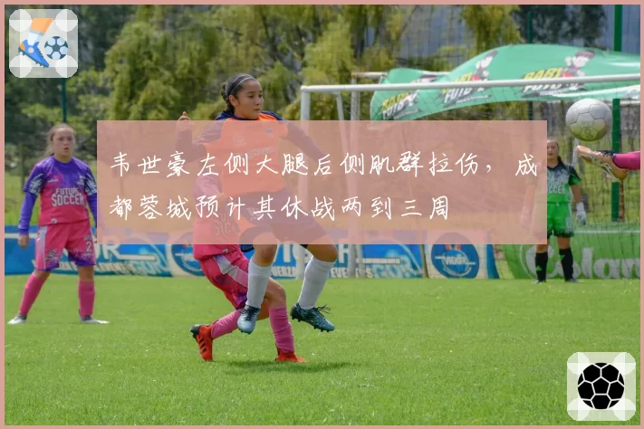 韦世豪左侧大腿后侧肌群拉伤，成都蓉城预计其休战两到三周