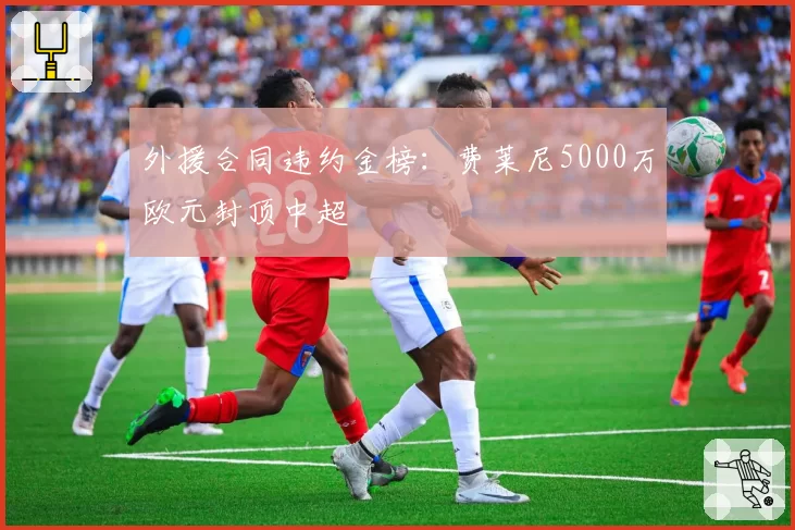 外援合同违约金榜：费莱尼5000万欧元封顶中超