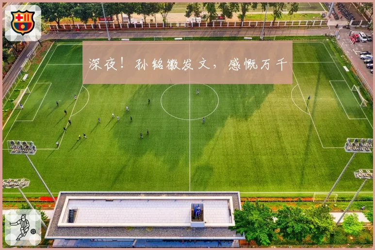 深夜！孙铭徽发文，感慨万千