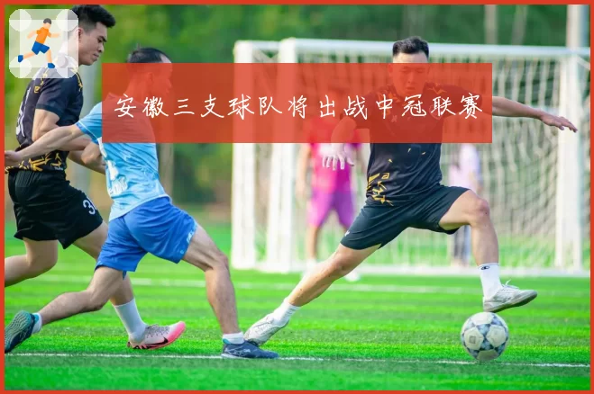 安徽三支球队将出战中冠联赛